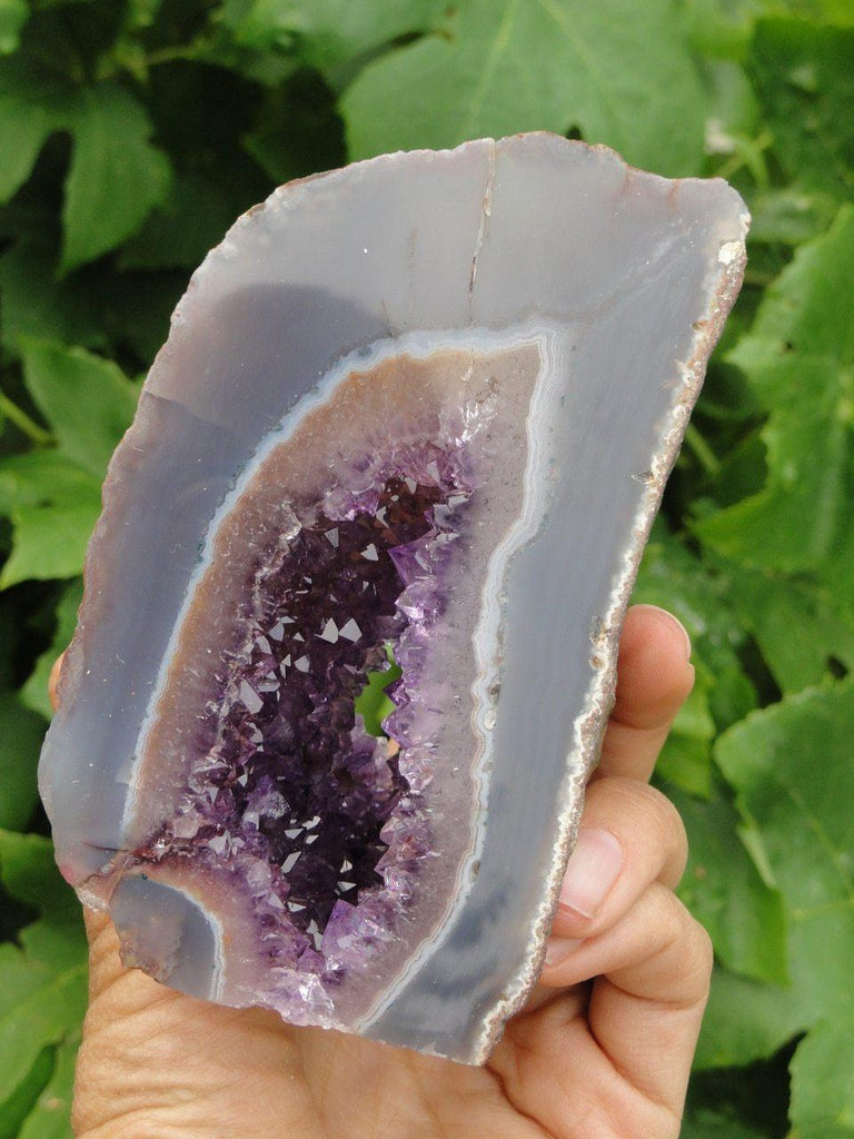 Purple AMETHYST GEODE - Earth Family Crystals