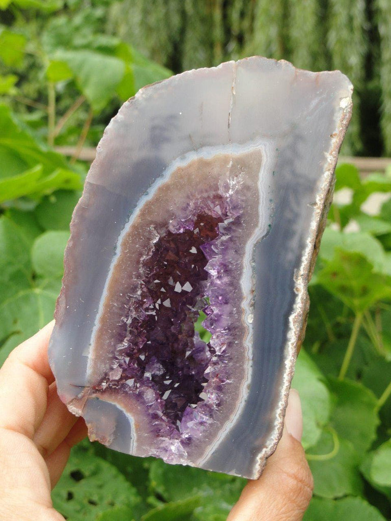 Purple AMETHYST GEODE - Earth Family Crystals