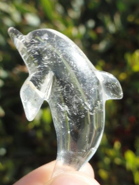 Adorable Mini CLEAR QUARTZ DOLPHIN CARVING - Earth Family Crystals