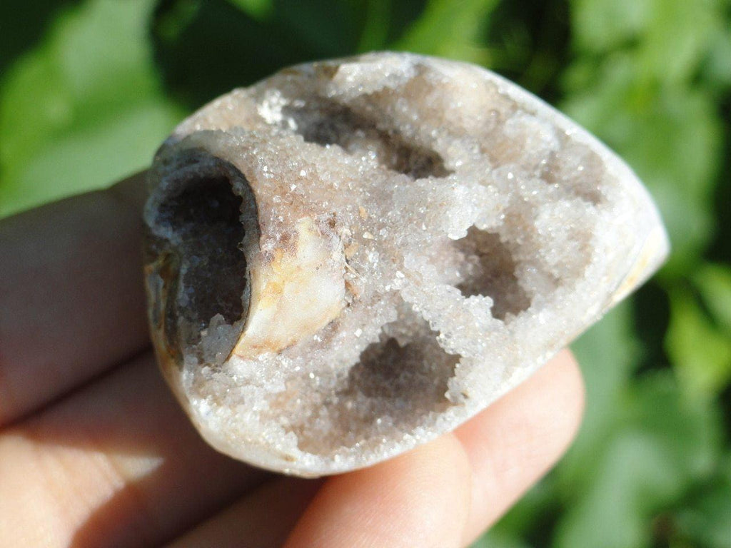 RARE CRYSTAL DRUZY FILLED SPIRALITE GEMSHELL - Earth Family Crystals
