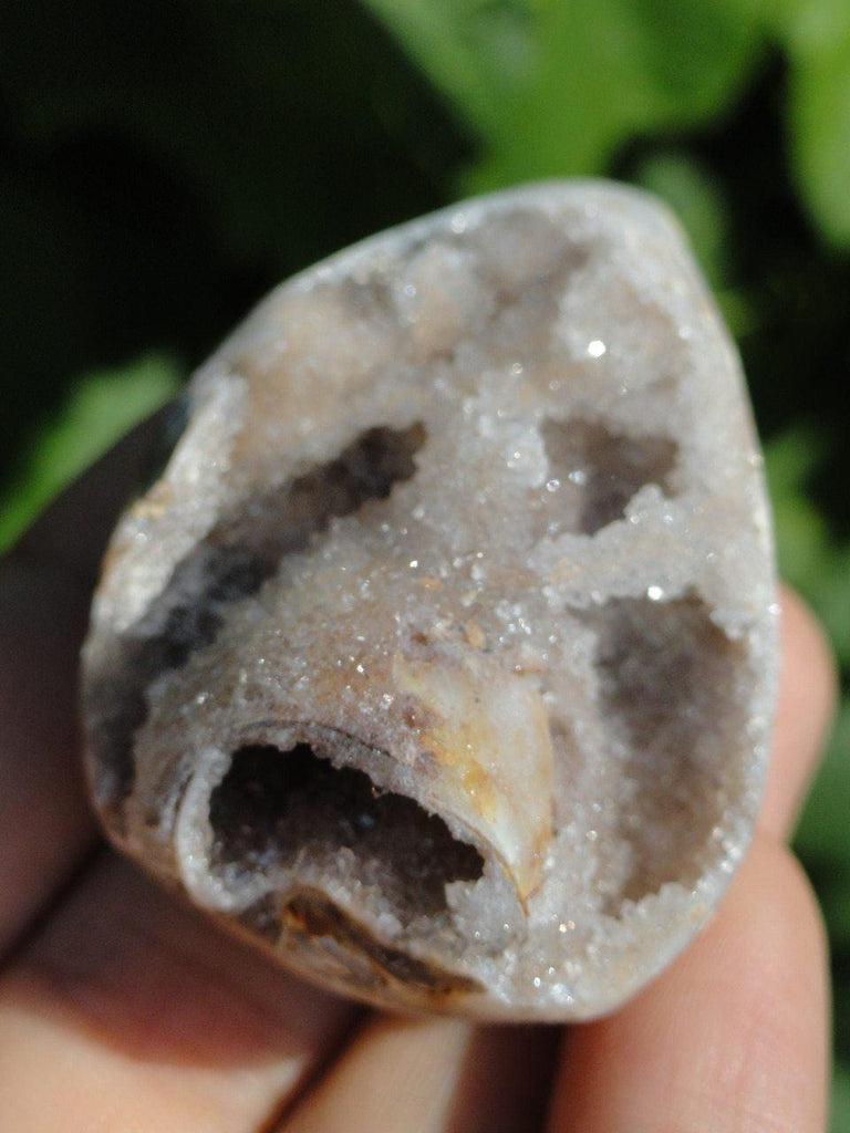 RARE CRYSTAL DRUZY FILLED SPIRALITE GEMSHELL - Earth Family Crystals