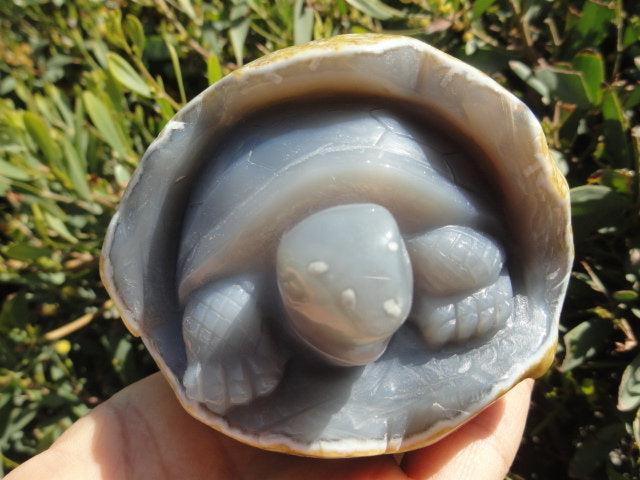 Incredible BLUE AGATE TURTLE CARVING IN HATCHING EGG - Earth Family Crystals