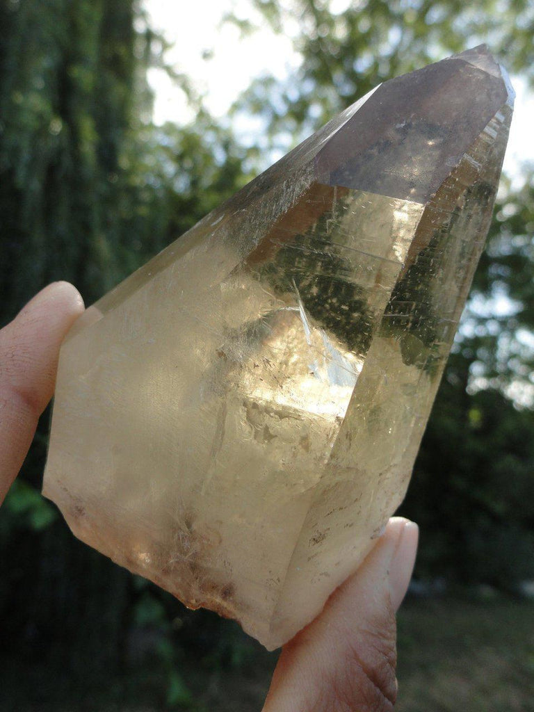 Rare Natural CITRINE SPECIMEN With Record Keepers From Minas Gerais, Brazil - Earth Family Crystals