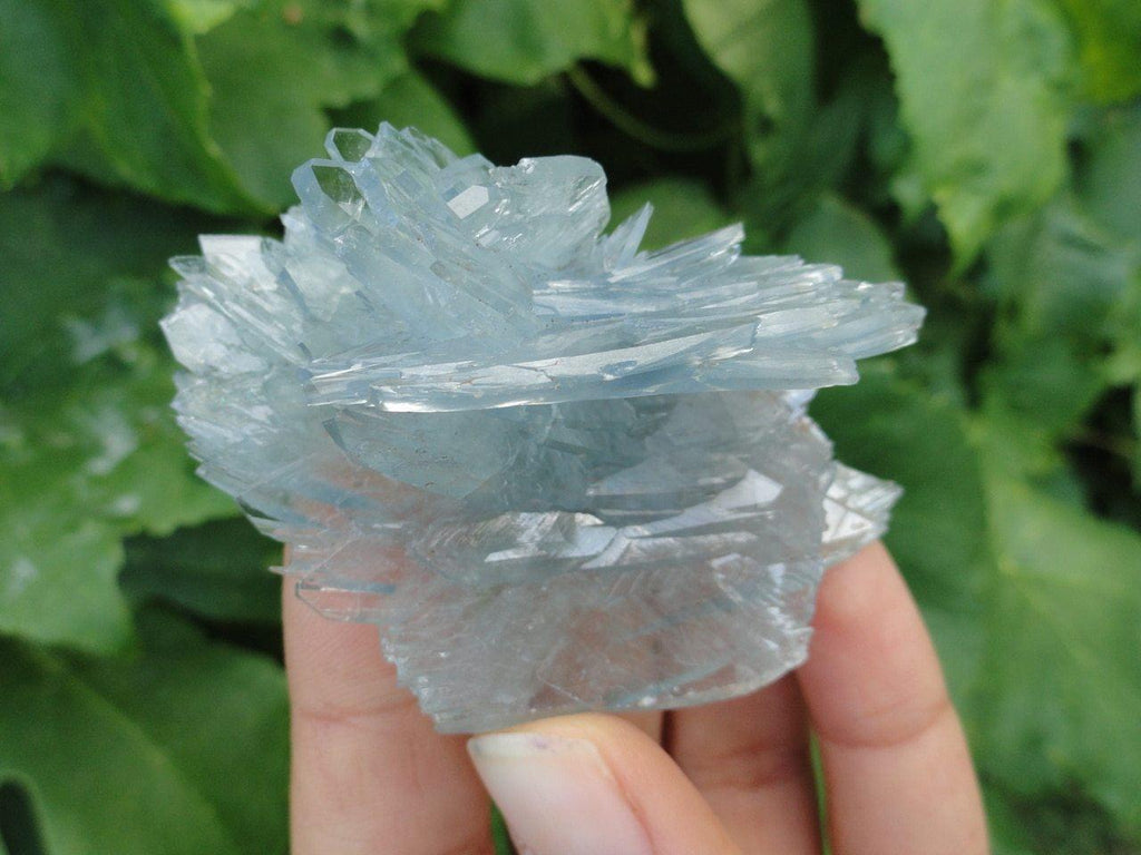 GORGEOUS BLUE BARITE Specimen* - Earth Family Crystals