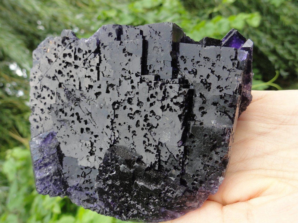 Jumbo MIDNIGHT FLUORITE Specimen (Deep Purple) - Earth Family Crystals