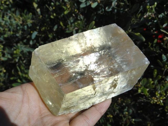 Jumbo Light Filled Golden OPTICAL CALCITE SPECIMEN - Earth Family Crystals