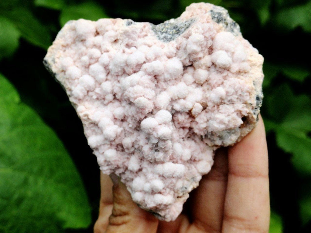 Natural Botryoidal PINK MANGANO CALCITE COLLECTORS SPECIMEN - Earth Family Crystals