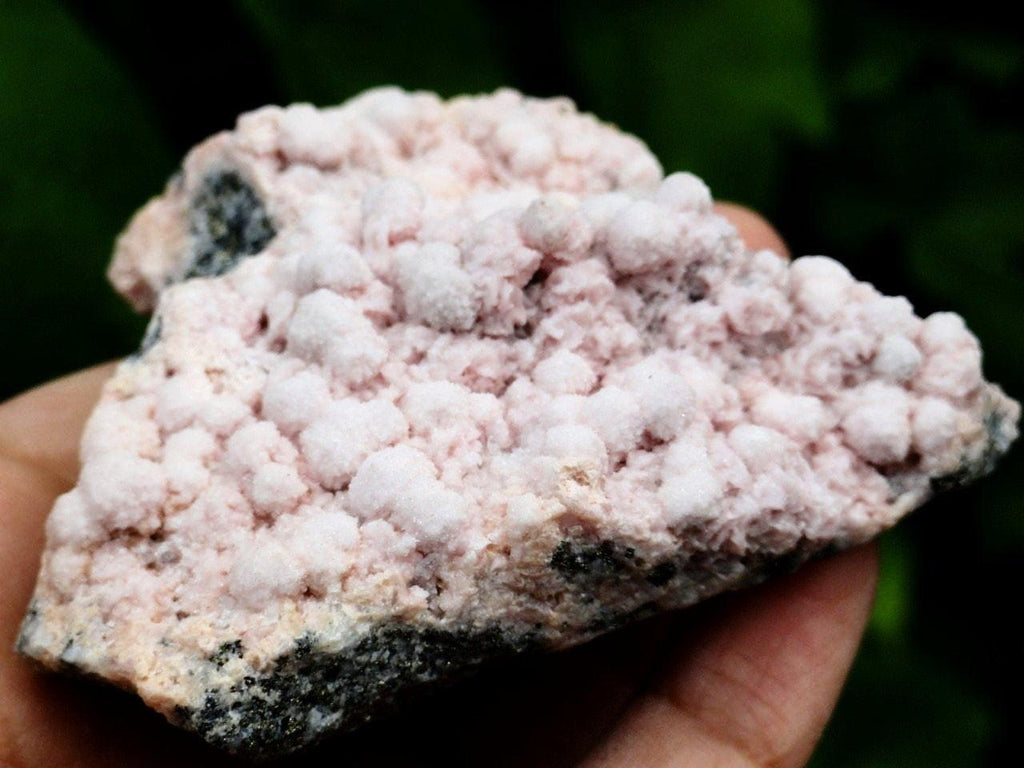 Natural Botryoidal PINK MANGANO CALCITE COLLECTORS SPECIMEN - Earth Family Crystals