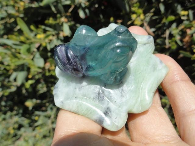 Adorable Rainbow FLUORITE FROG On JADE LILY PAD - Earth Family Crystals