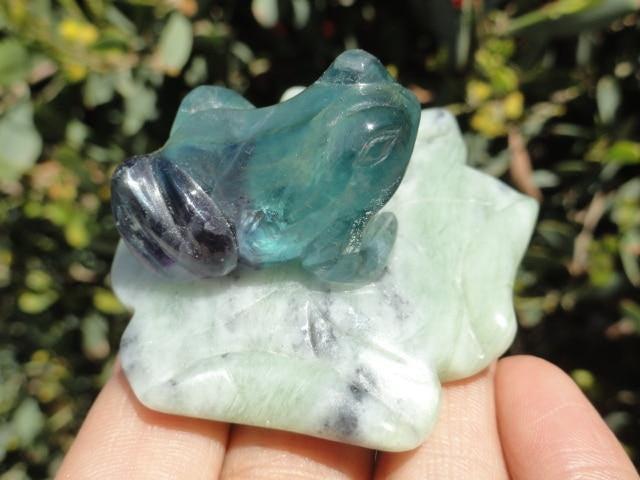Adorable Rainbow FLUORITE FROG On JADE LILY PAD - Earth Family Crystals