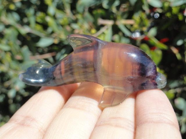 Pretty RAINBOW FLUORITE GEMSTONE DOLPHIN CARVING - Earth Family Crystals