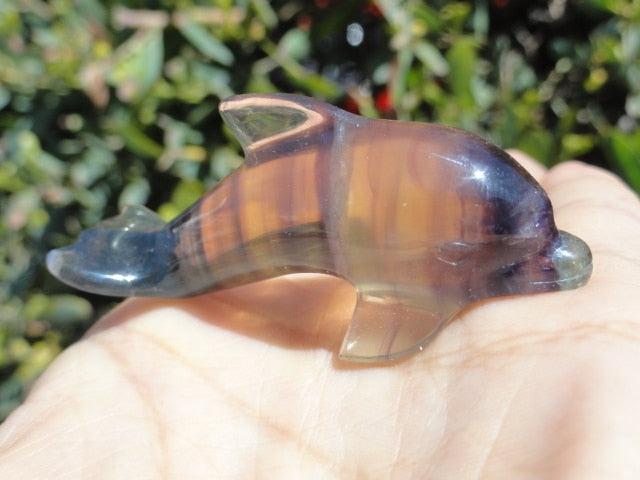 Pretty RAINBOW FLUORITE GEMSTONE DOLPHIN CARVING - Earth Family Crystals
