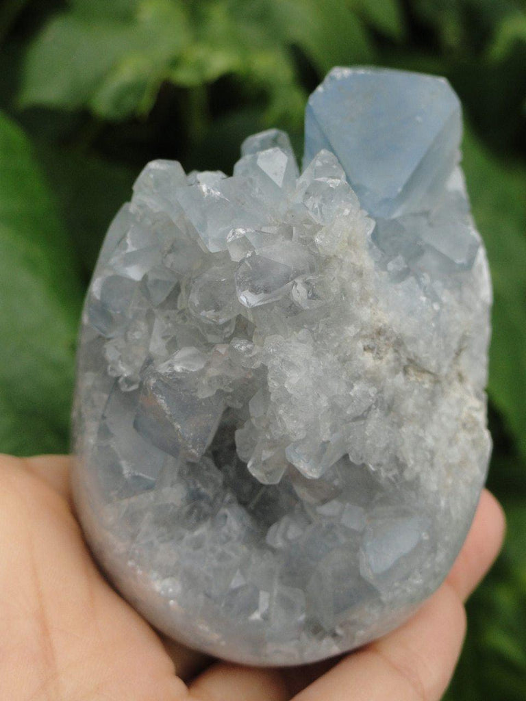 Blue CELESTITE EGG SPECIMEN - Earth Family Crystals