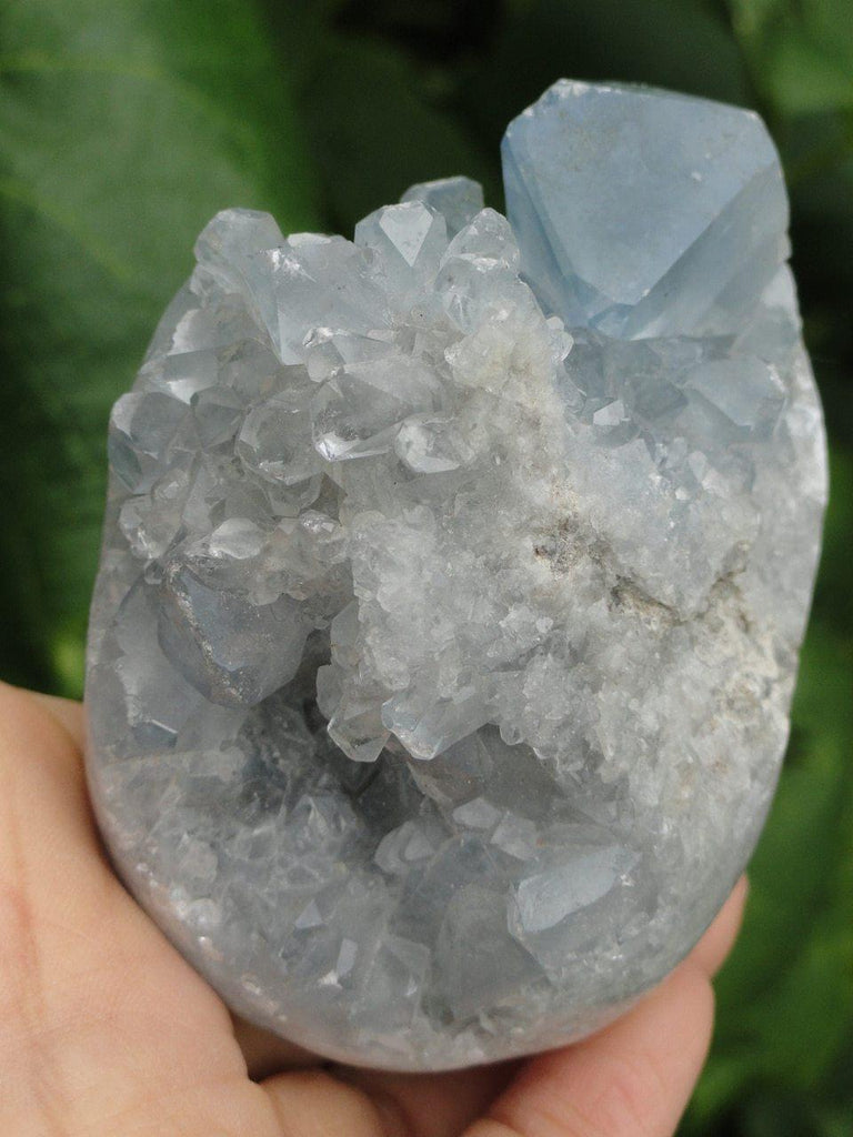 Blue CELESTITE EGG SPECIMEN - Earth Family Crystals
