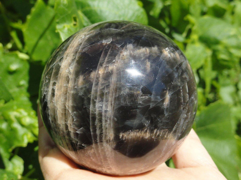 Jumbo BLACK MOONSTONE SPHERE - Earth Family Crystals