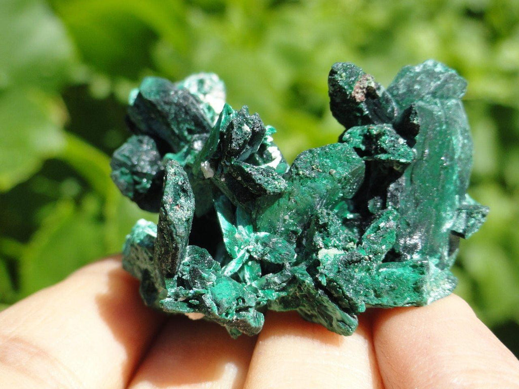 Silky Green MALACHITE SPECIMEN - Earth Family Crystals