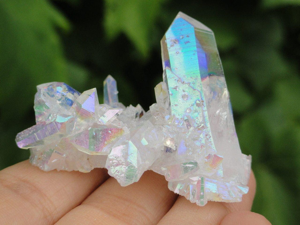 ANGEL AURA QUARTZ CLUSTER - Earth Family Crystals