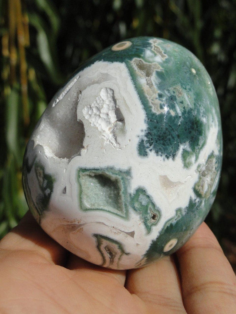 OCEAN JASPER SPECIMEN With White Druzy Caves - Earth Family Crystals