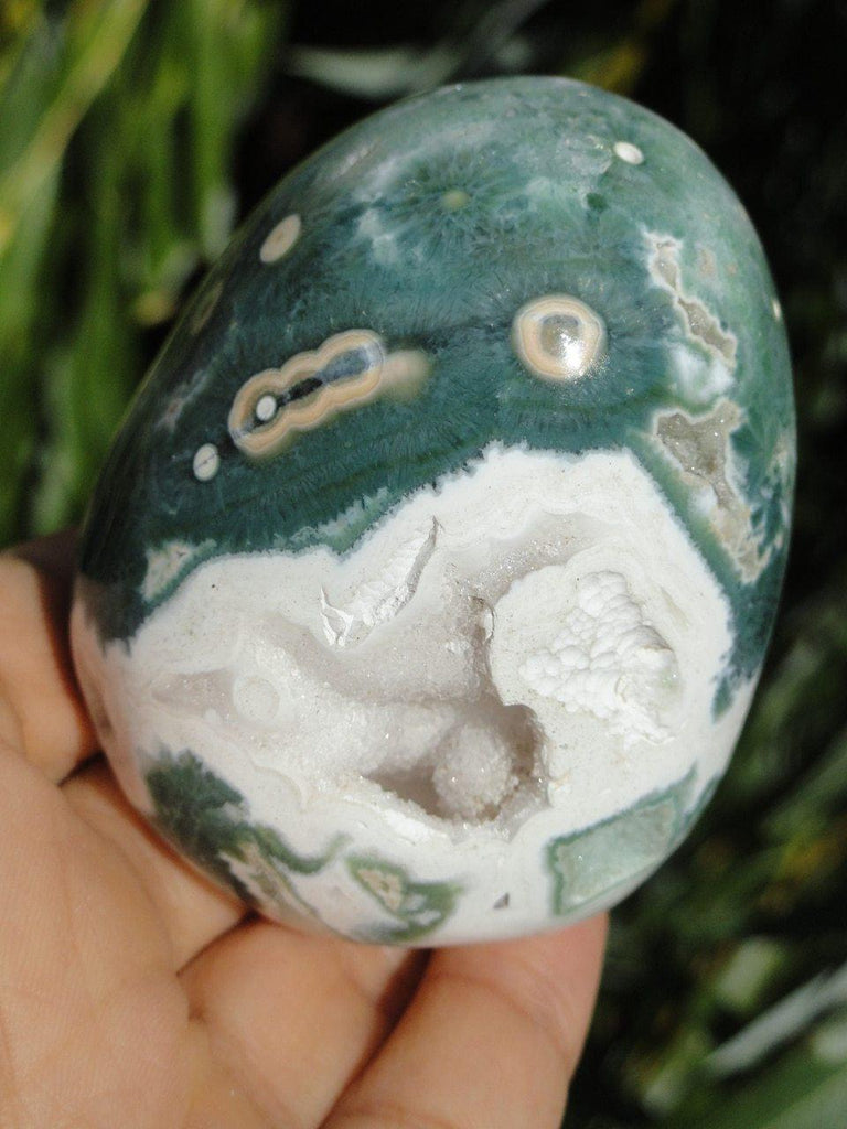 OCEAN JASPER SPECIMEN With White Druzy Caves - Earth Family Crystals