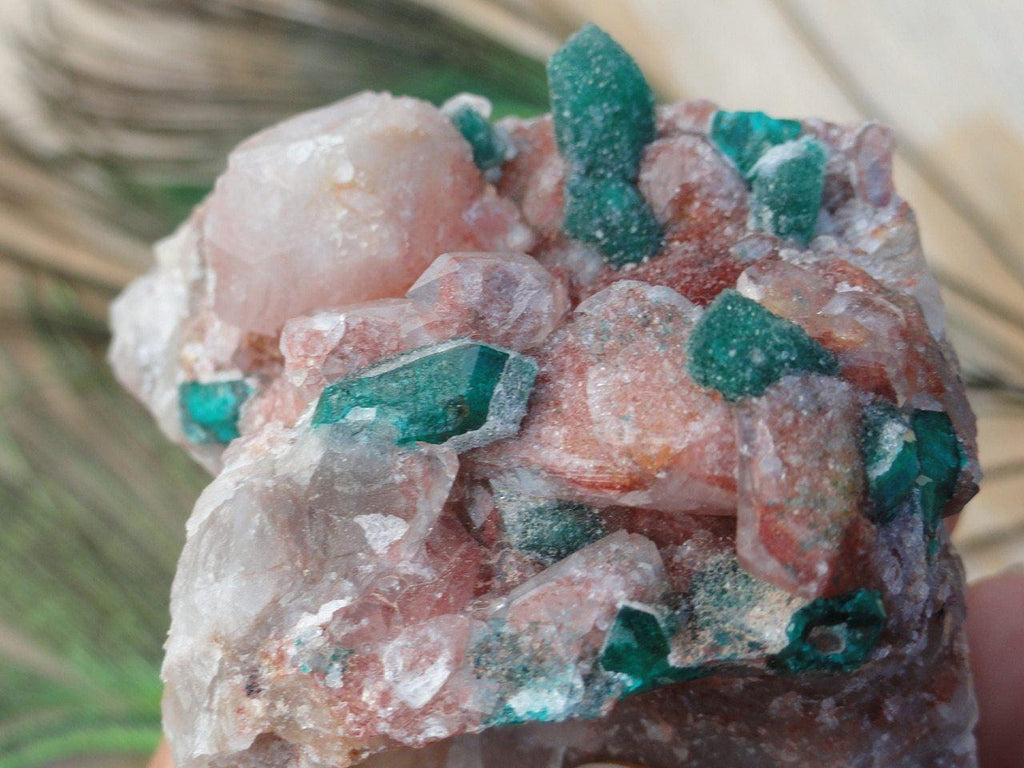 DIOPTASE CRYSTALS ON QUARTZ - Earth Family Crystals