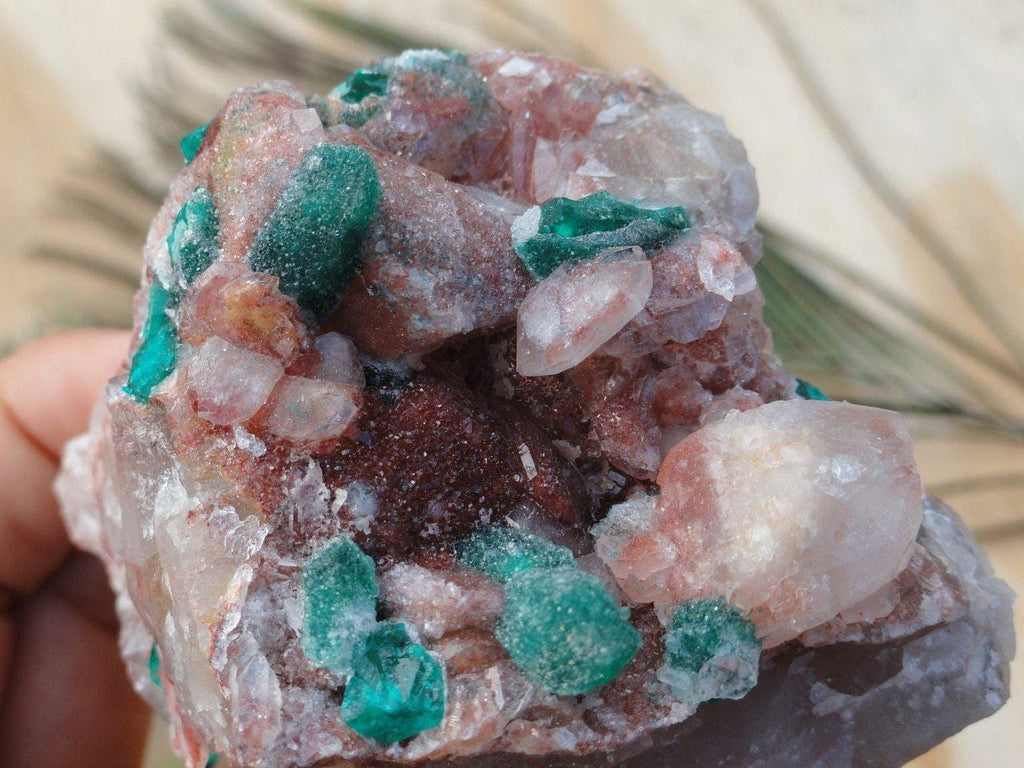 DIOPTASE CRYSTALS ON QUARTZ - Earth Family Crystals