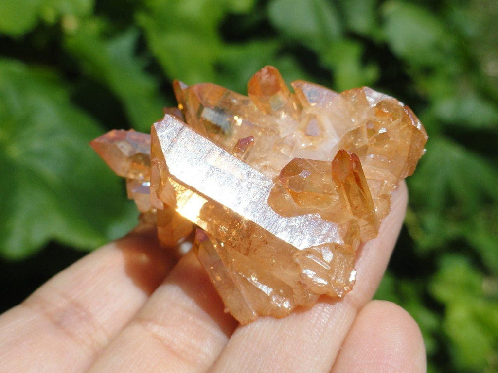 SUNSHINE AURA QUARTZ CLUSTER - Earth Family Crystals