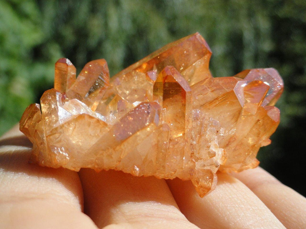 SUNSHINE AURA QUARTZ CLUSTER - Earth Family Crystals