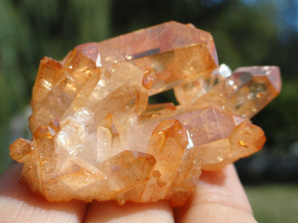 SUNSHINE AURA QUARTZ CLUSTER - Earth Family Crystals