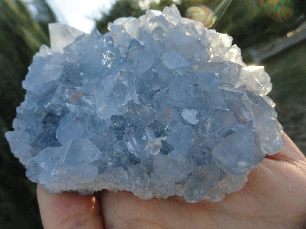 BLUE CELESTITE CLUSTER - Earth Family Crystals