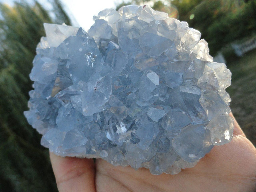 BLUE CELESTITE CLUSTER - Earth Family Crystals