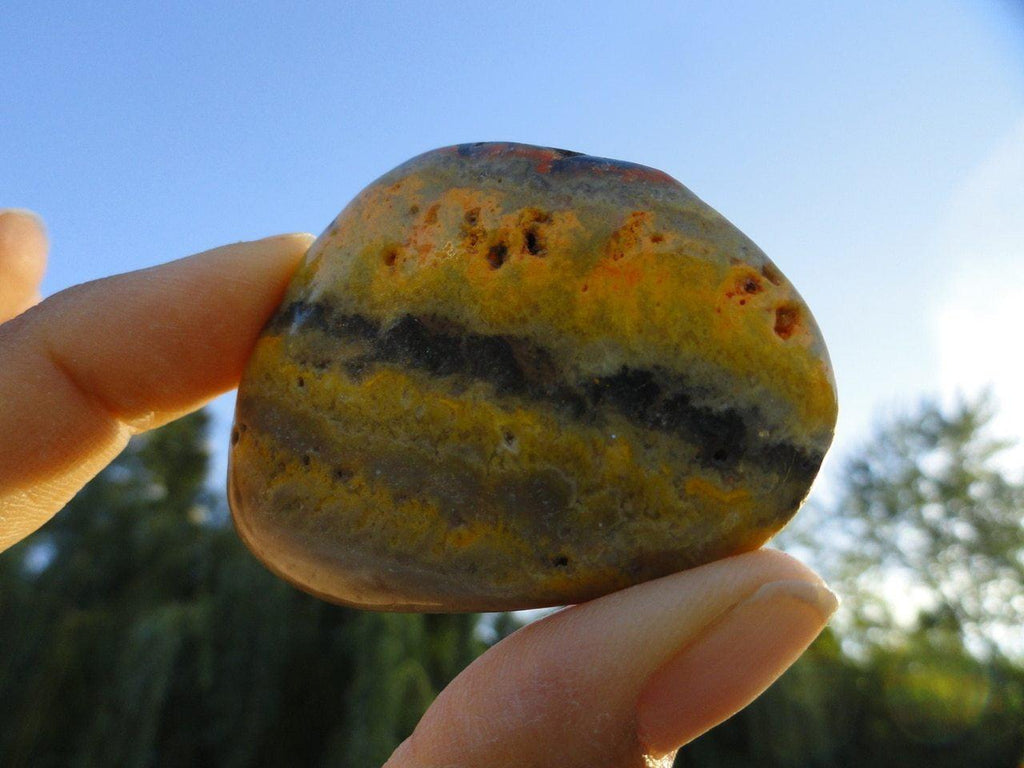 BUMBLE BEE JASPER Palm Stone* - Earth Family Crystals
