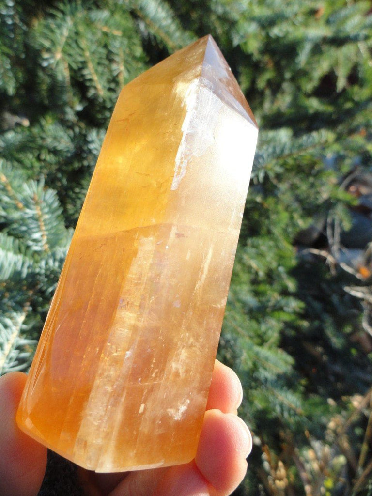 GOLDEN CALCITE GENERATOR** - Earth Family Crystals