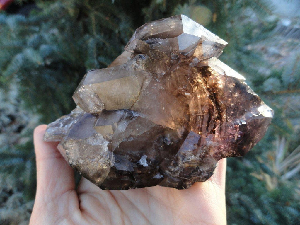 Rare! Huge SMOKY QUARTZ & AMETHYST ELESTIAL QUARTZ SPECIMEN - Earth Family Crystals