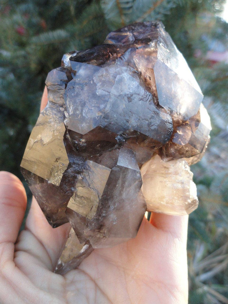Rare! Huge SMOKY QUARTZ & AMETHYST ELESTIAL QUARTZ SPECIMEN - Earth Family Crystals