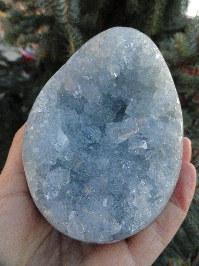 Amazing BLUE CELESTITE GEODE EGG SPECIMEN - Earth Family Crystals