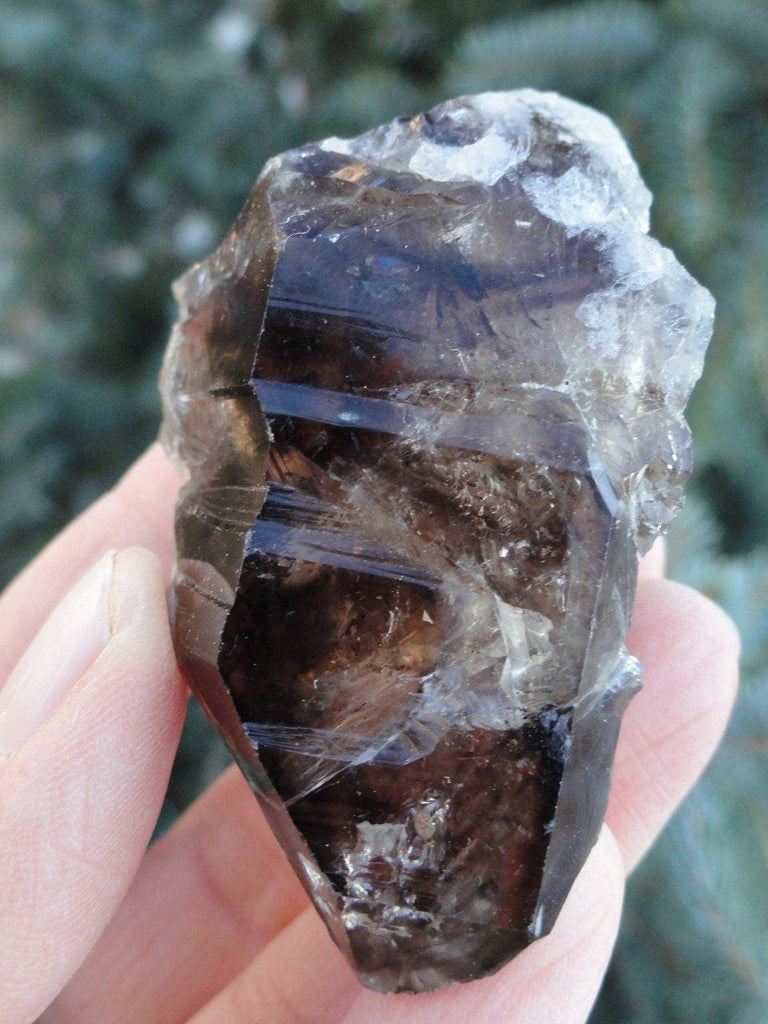 Dark Natural SMOKY BRAZILIAN QUARTZ CLUSTER - Earth Family Crystals
