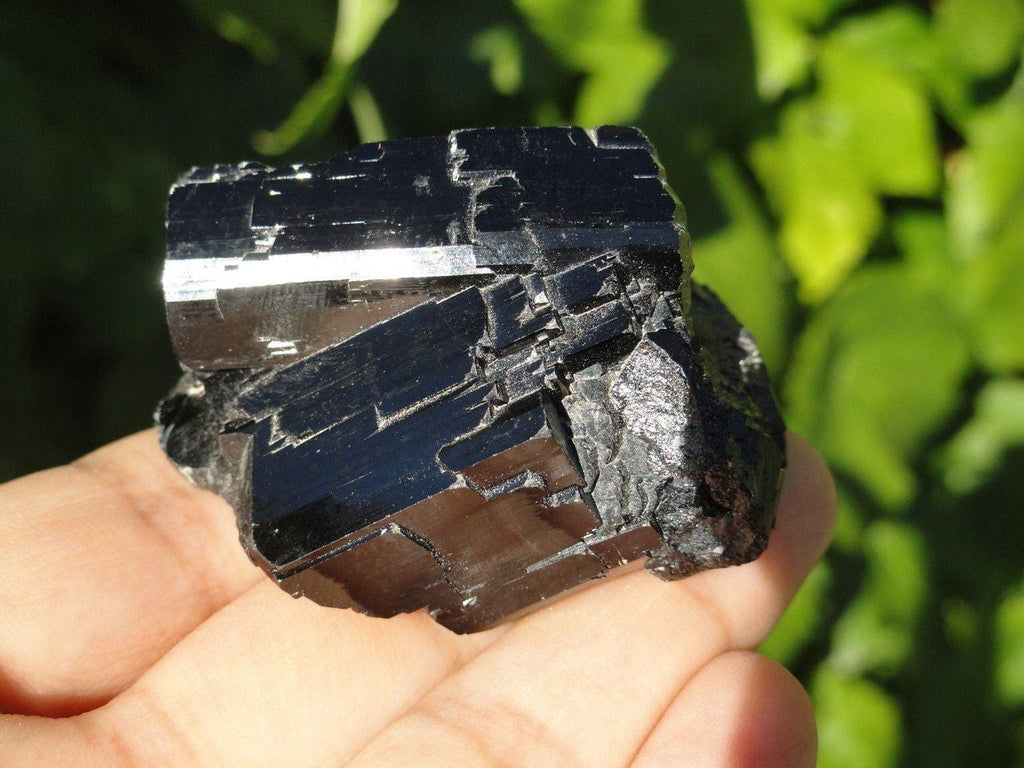 BLACK TOURMALINE SPECIMEN - Earth Family Crystals