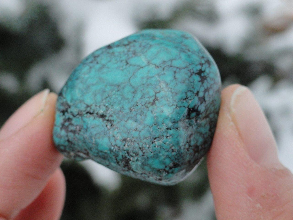 Natural Turquoise Palm Stone - Earth Family Crystals