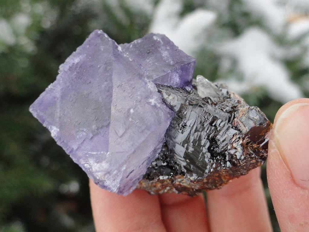 Elmwood Purple FLUORITE & SPHALERITE SPECIMEN With Mini Steller Beam Calcite Inclusion - Earth Family Crystals