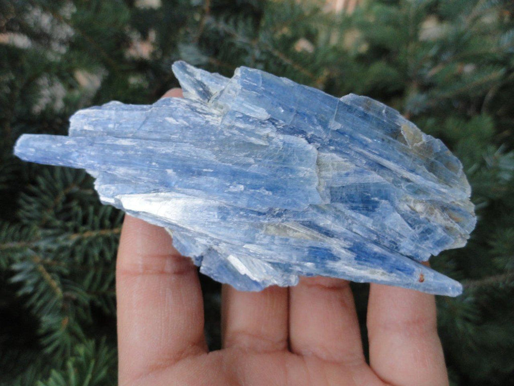 BLUE KYANITE SPECIMEN* - Earth Family Crystals