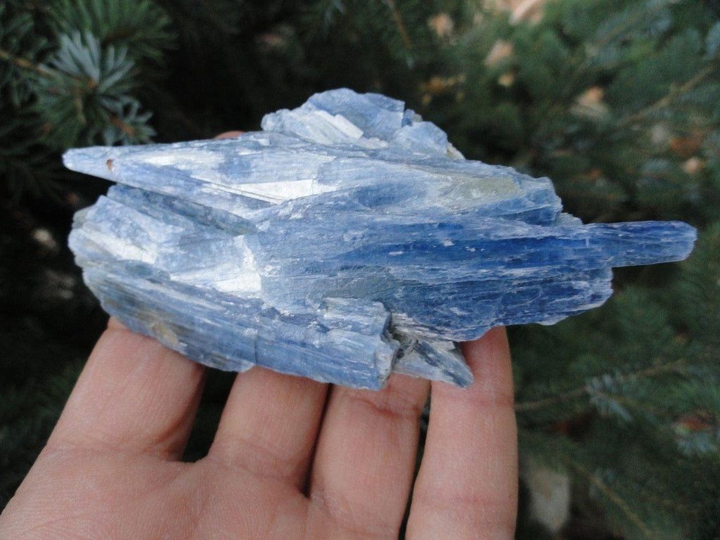BLUE KYANITE SPECIMEN* - Earth Family Crystals