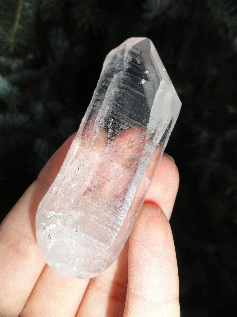 High Clarity LEMURIAN SEED WAND - Earth Family Crystals