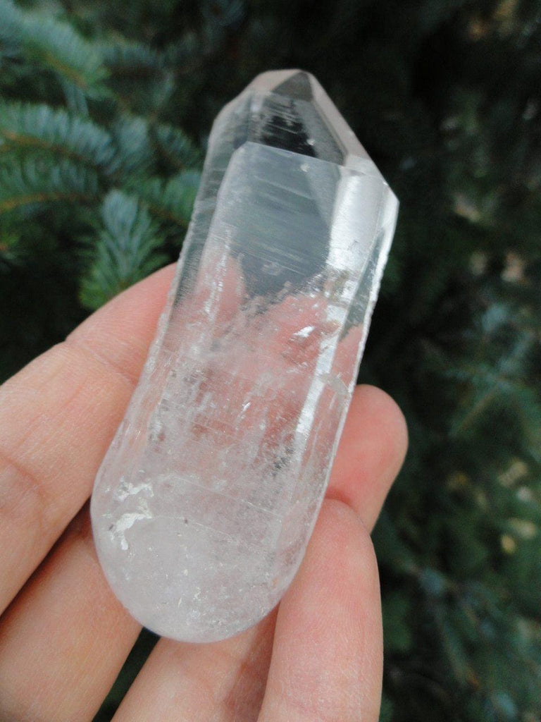 High Clarity LEMURIAN SEED WAND - Earth Family Crystals