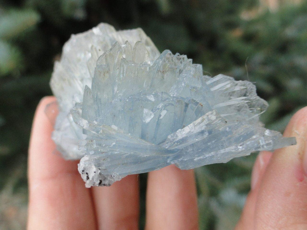 Rare! Beautiful BLUE BARITE SPECIMEN - Earth Family Crystals