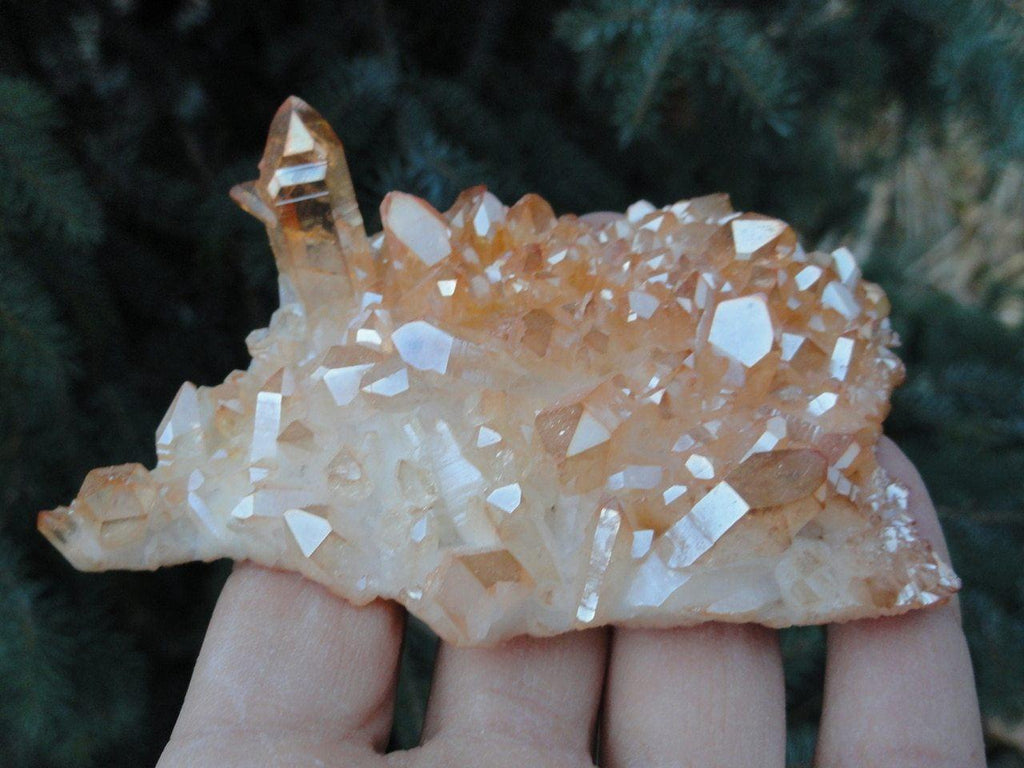 Large SUNSHINE AURA QUARTZ CLUSTER* - Earth Family Crystals