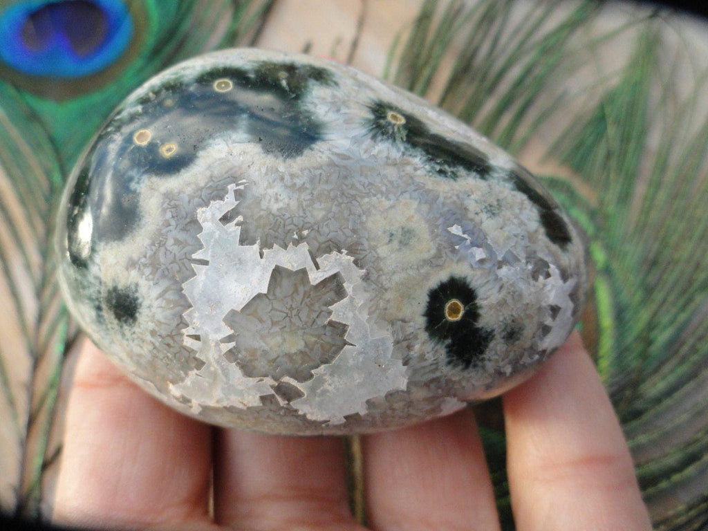 OCEAN JASPER SPECIMEN With White Druzy Cave - Earth Family Crystals