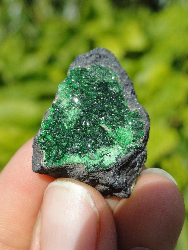 RARE ~ UVAROVITE GARNET SPECIMEN With Double Sided Green Crystal Druzy - Earth Family Crystals