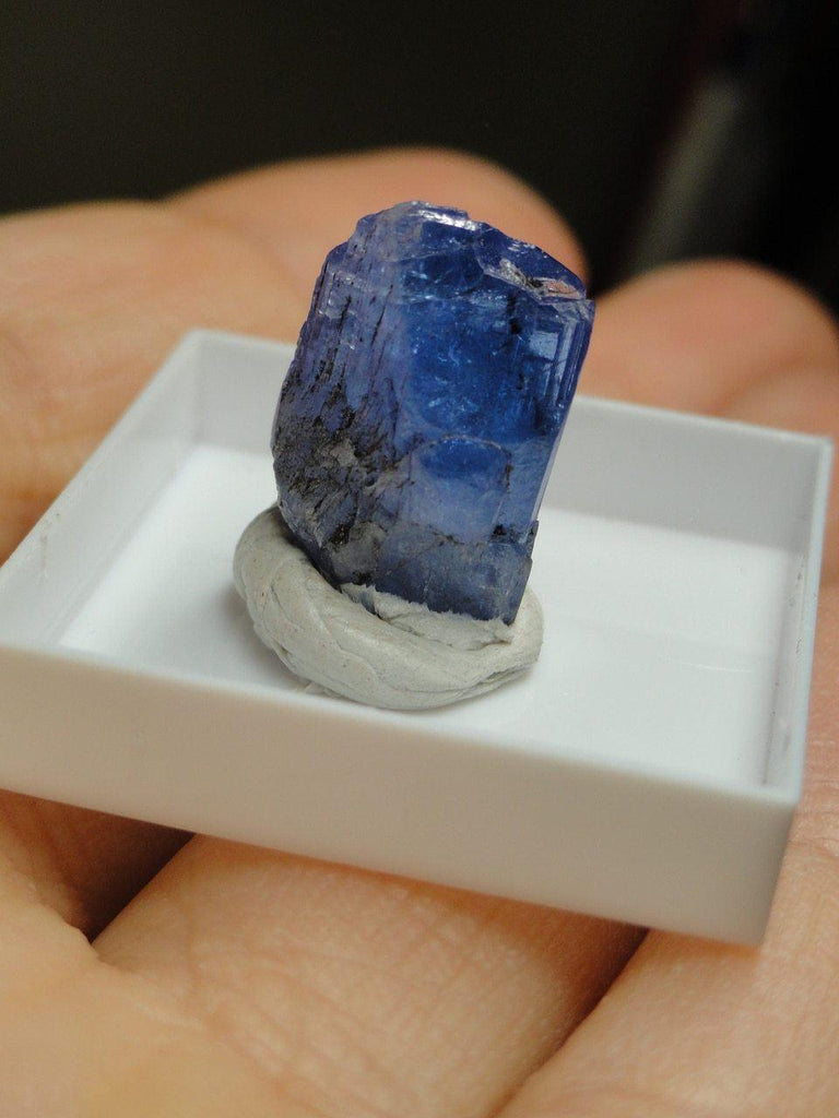 Rare Gemmy TANZANITE SPECIMEN In Collectors Box - Earth Family Crystals