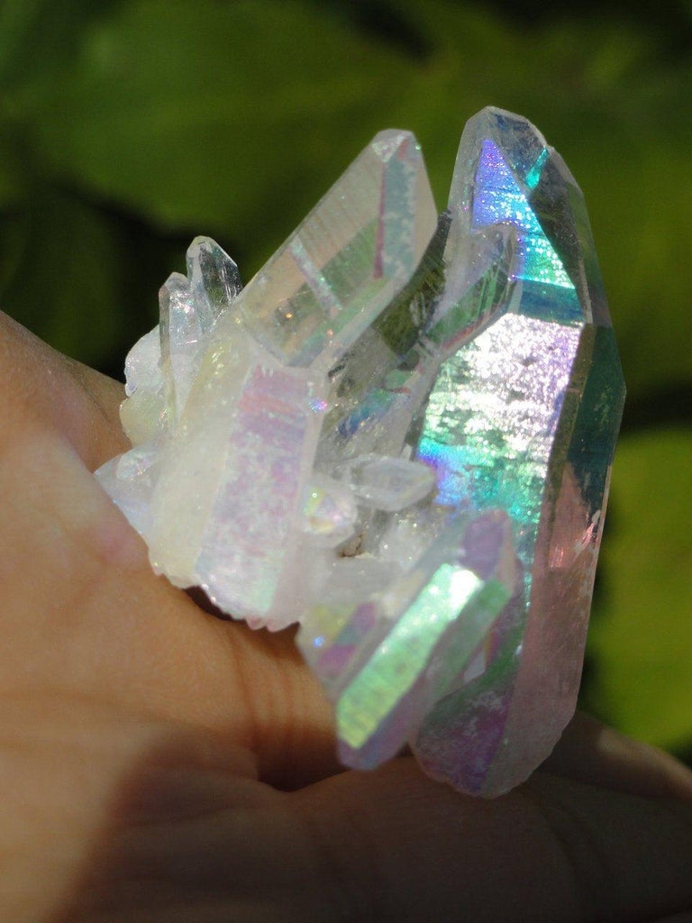 ANGEL AURA QUARTZ CLUSTER* - Earth Family Crystals
