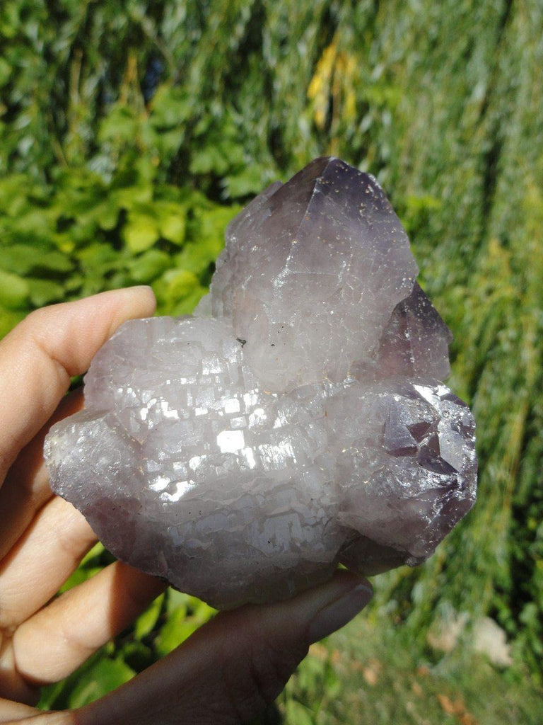 AMETHYST ELESTIAL SELF HEALED SPECIMEN - Earth Family Crystals